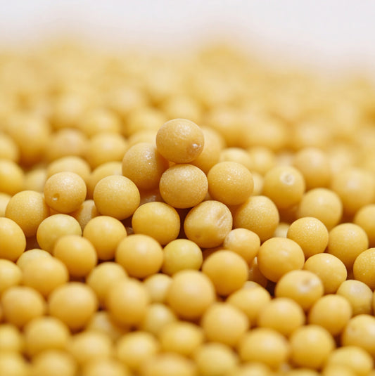 Dissolving Beads - Yellow