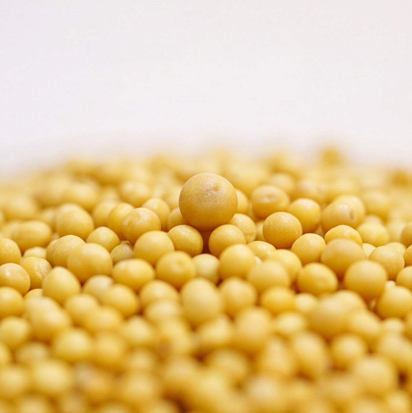 Dissolving Beads - Yellow